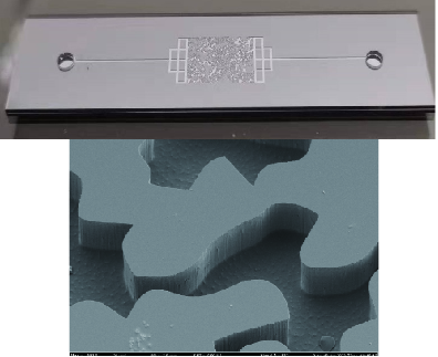 Quantum processor